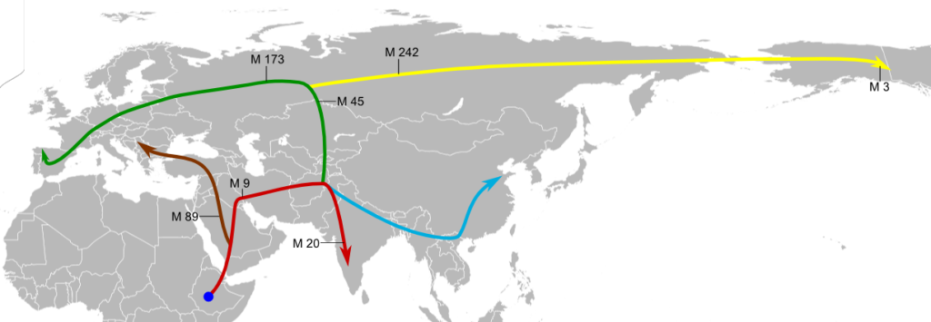 Homo Sapiens Sapiens moderner Mensch